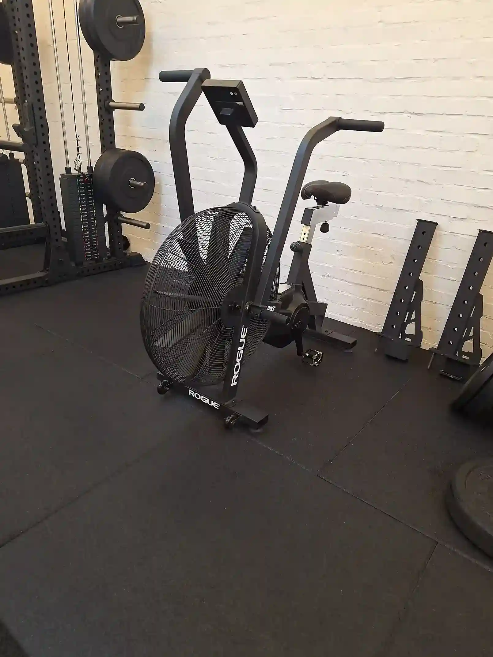 Cap knokke - home page - gallery image 10